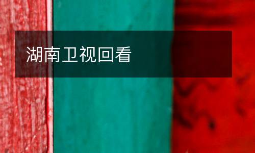 湖南卫视回看