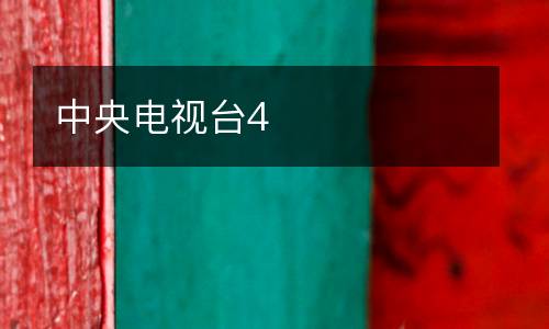 中央电视台4